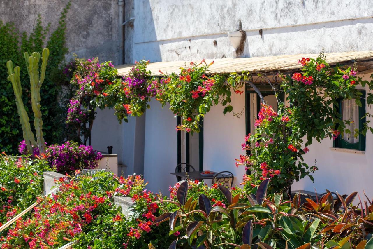 Villa Il Pettirosso In Positano Extérieur photo