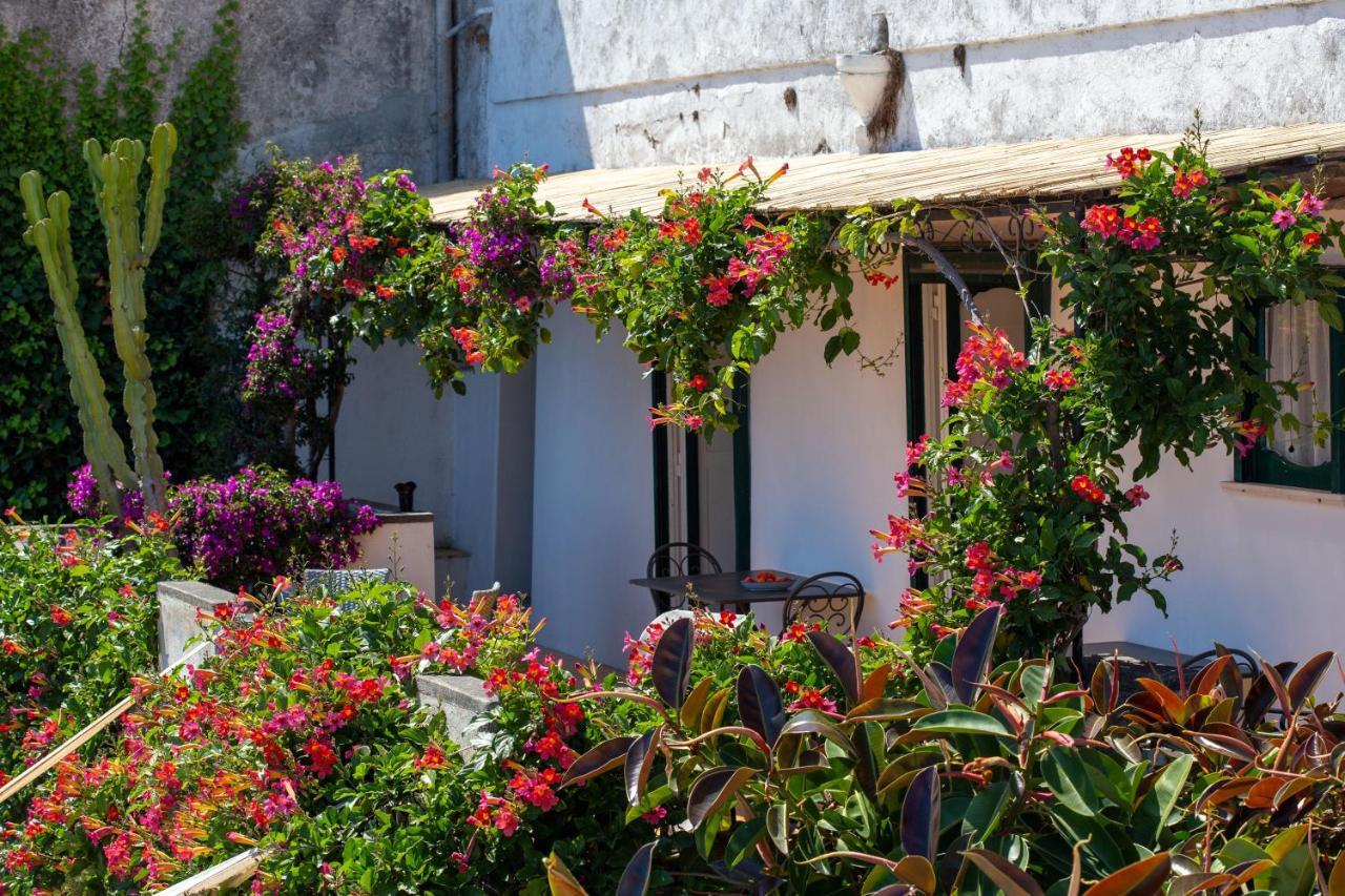 Villa Il Pettirosso In Positano Extérieur photo