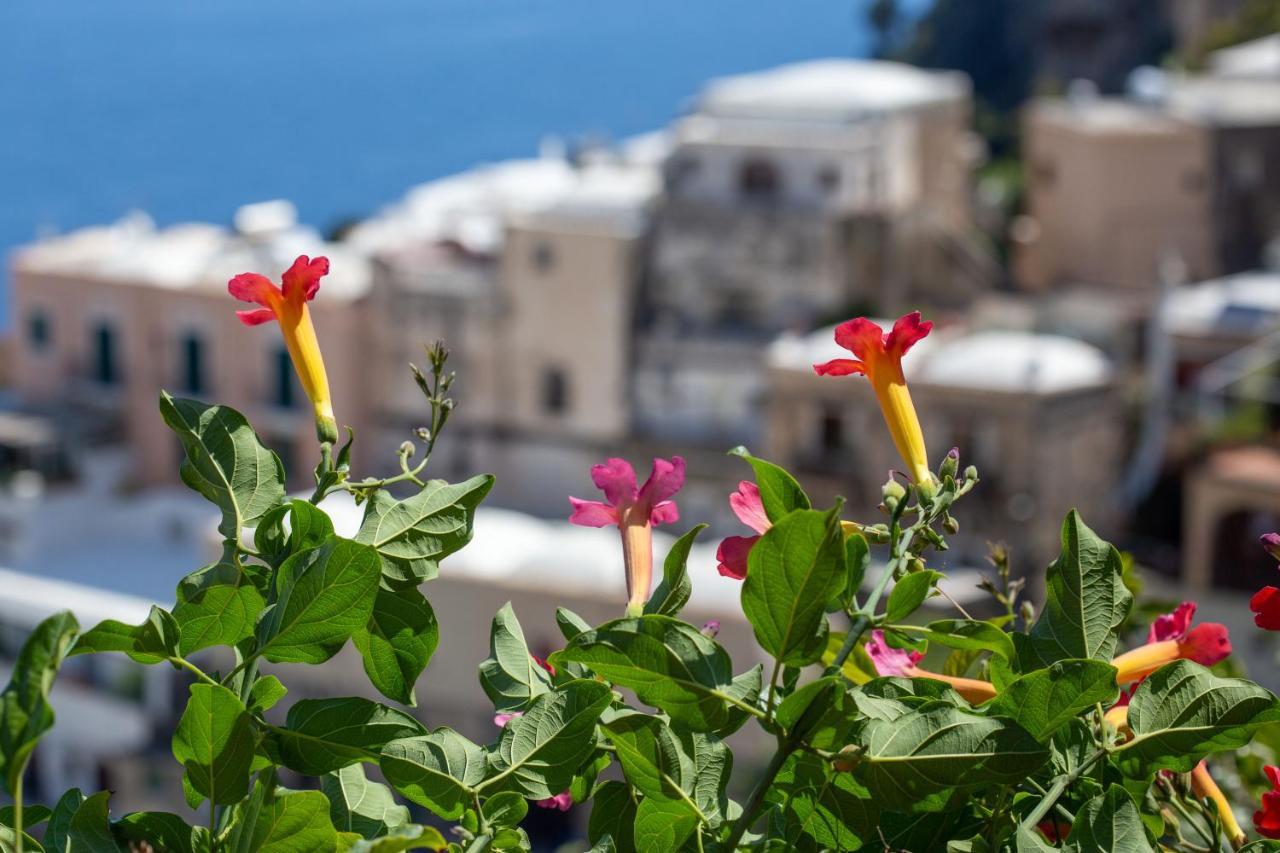 Villa Il Pettirosso In Positano Extérieur photo